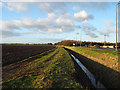 Drainage ditch adjacent to Rawcliffe Road