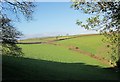 Farmland above the Tiddy valley