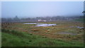 SJ8146 : Silverdale: flooded wasteland by Jonathan Hutchins