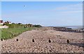 Shingle beach - Kingston Gorse