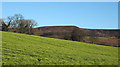 Field slope rising to Thwaites Lane