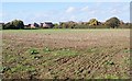 Field west of Kingston Lane