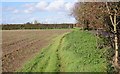 Field beside Kingston Lane