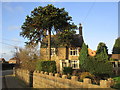 Sunny View and Araucaria