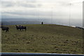 Trig Point on Skew Hill near Grenoside