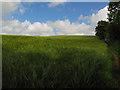 Field near Maypool