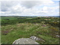 View E from Berry Down near St Neot