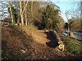 SP2965 : Riverside Walk behind Mercia Way, without poplars, Warwick 2014, December 19 by Robin Stott