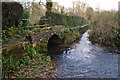 Combe Florey : Small Stream