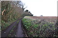 ST1431 : Taunton Deane : Country Lane by Lewis Clarke