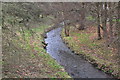 Bishops Lydeard : Small Stream