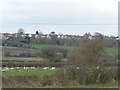 Houses on the ridge