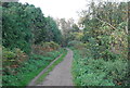 Sandlings Walk, Bixley Heath