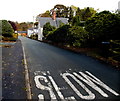 SLOW on Quinta Terrace, Chirk Bank