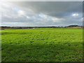 Across fields to Rodway Manor