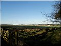 Field near Loanhead