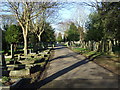 Path in Driffield Cemetery