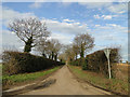 TG2326 : Road junction at Tuttington by Adrian S Pye