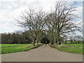 Driveway to The Coach House