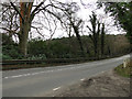 The road past Captains Pond, Westwick