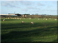 Towards Whinhill Farm