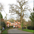 Houses in Ashwellthorpe Road