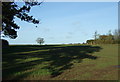 Crop field north of Bridlington Road