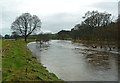 Flooded Water of Girvan