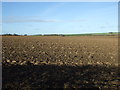 Ploughed field north of Bridlington Road