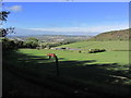 Pastures above Burham on western slope of North Downs