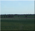 TA0458 : Farmland south of Markman Lane by JThomas