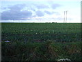 TA0458 : Crop field north of Markman Lane by JThomas