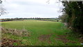 SO5453 : Farmland north of Broadfield Court by Jonathan Billinger