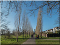 TQ3095 : Avenue of Poplar Trees, Oakwood Park, London N14 by Christine Matthews