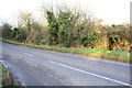 Parapet of bridge behind roadside bushes