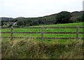 Grazing land between the B30 and a section of the Ring of Gullion hills