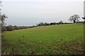 Future housing estate, Lawn Farm, Welland