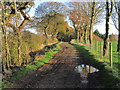 On Dane Valley Way, NW of Bent Farm near Congleton