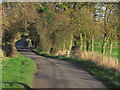 Autumn afternoon, Smithy Lane, Hulme Walfield near Congleton