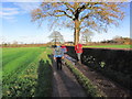 Walkers heading towards Moor