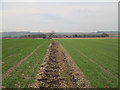 Field boundary near Low Farm