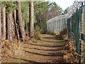SU9158 : Pirbright range fence line by Alan Hunt