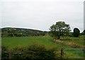 The flood plain of upper Forkhill River