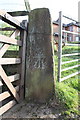 Benchmark on Banks Lane gatepost