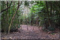 Path into woodland at Headley Down