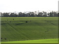 SP1234 : Farmland near Seven Wells by David Purchase