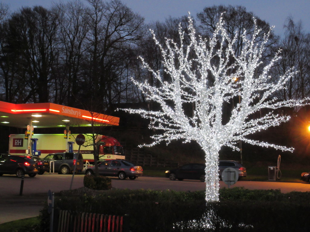 Sainsbury's Christmas Tree © David Anstiss Geograph Britain and Ireland