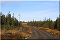 NS6041 : Newish road, Whitelee Forest by Richard Webb