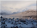 NH1804 : Cairns at the viewpoint over Loch Loyne by sylvia duckworth