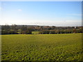 Footpath across a field, Shipley Gate